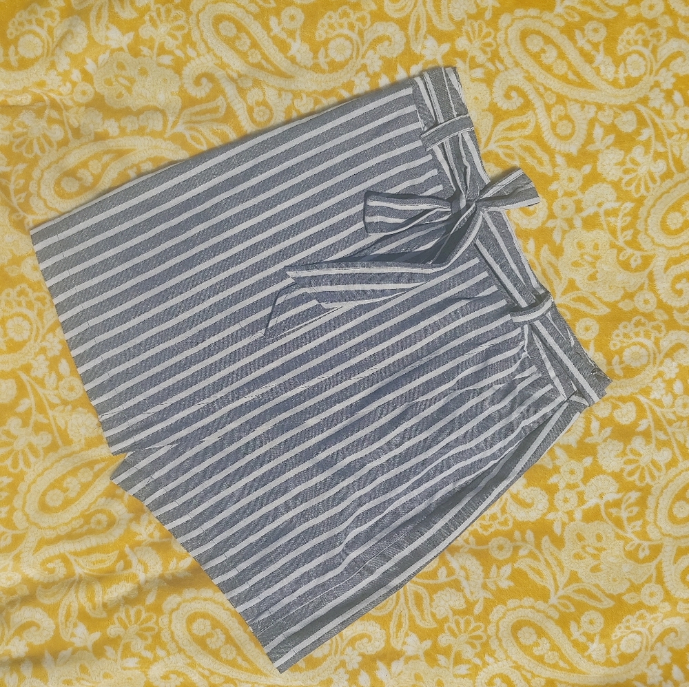 Skirt with the belt